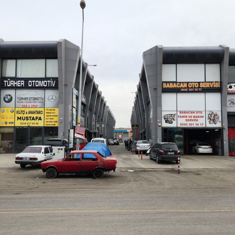 sasmaz-n-image (9)